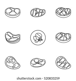 Kind of beef icons set. Outline illustration of 9 kind of beef vector icons for web