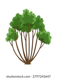 Kind of bush icon. Deciduous plant. Green crowns and lush foliage with natural brown trunks and branches. Vector cartoon illustration