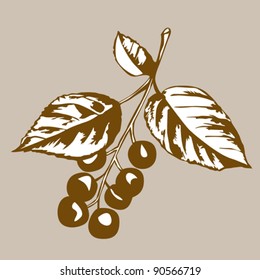 a kind of cherry tree on brown background, vector illustration