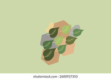 kind color of leaf vector image