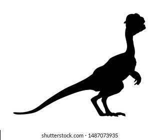 Kind of dinosaur vector silhouette isolated on white background. Dinosaurs symbol. Jurassic era. Dino sign.