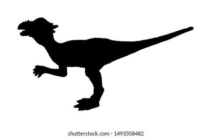 Kind of dinosaur vector silhouette isolated on white background. Dinosaurs symbol. Jurassic era. Dino sign.