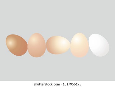 Kind Of Egg Shell Color