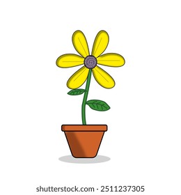 Kind of Rudbeckia with less petals