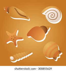 kind of sea shells, sticker vector silhouette illustration