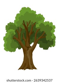 Kind of tree icon . Deciduous plant. Green crowns and lush foliage with natural brown trunks and branches. Vector cartoon illustration