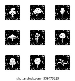 Kind of trees icons set. Grunge illustration of 9 kind of trees vector icons for web