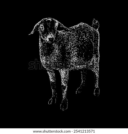 kinder goat hand drawing vector isolated on black background.