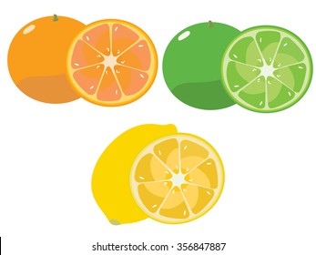 kinds of citrus fruit.