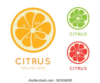 Kinds of citrus logo. Logotype for citrus company. Refreshing yummy tropical summer fruit. Cocktail ingredient. Vector design illustration