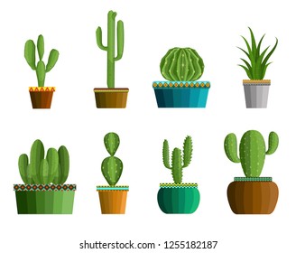 kinds of Illustration cactus in the pot 
