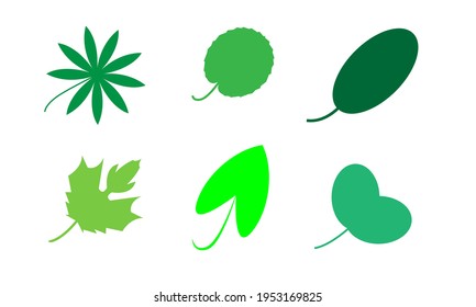 kinds of leaf shapes with dark green color