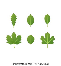 Kinds of leaf simple vector design set