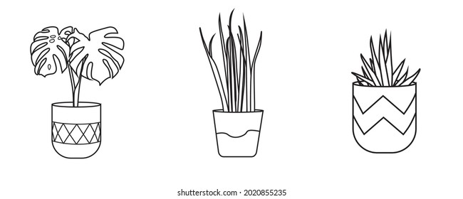 
KINDS OF PLANT VECTOR SET EDITABLE