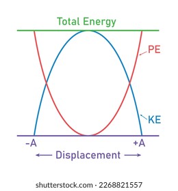 Kinetic and potential energy in simple harmonic motion. Energy changes.