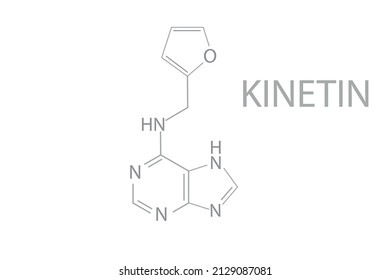  Kinetin molecular skeletal chemical formula.	Vector illustration.