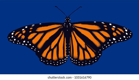 The King Of Butterflies