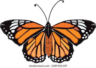 Vector de mariposa para el diseño de arte