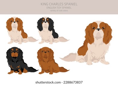 King Chares Spaniel clipart. Postas diferentes, colores de abrigo.  Ilustración del vector