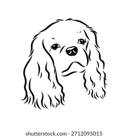 King Charles Spaniel, perro, boceto de Vector