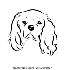 King Charles Spaniel, perro, boceto de Vector