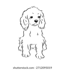 King Charles Spaniel, perro, boceto de Vector
