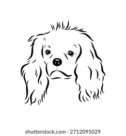 King Charles Spaniel, dog, vector sketch
