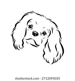 Rei Charles Spaniel, cão, esboço vetorial