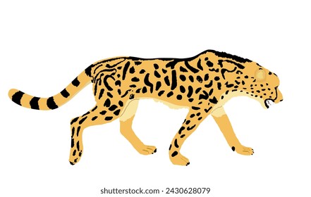 Cheetah logo. Nature speed brand icon. Fastest land animal symbol