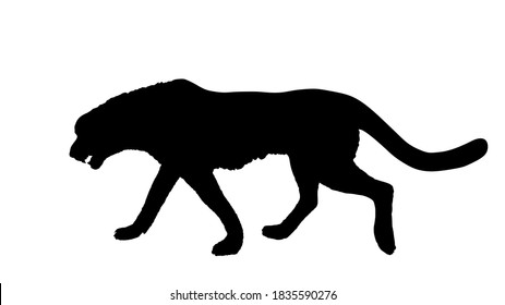 King cheetah vector silhouette illustration isolated on white background. Acinonyx jubatus symbol. Big cat, fastest animal on planet. Elegant African safari animal.  