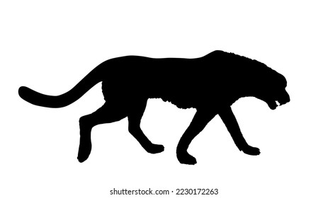 King cheetah vector silhouette illustration isolated on white background. Acinonyx jubatus symbol. Big cat fastest animal on planet. Elegant African safari animal. Predator symbol.