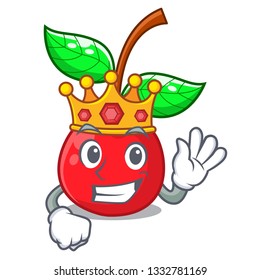 King cherries fruit isolated with the cartoon