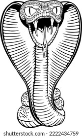 King Cobra Black And White Vector Illustration