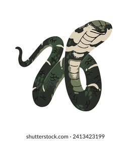 King cobra in defensive posture. Venomous snake with extended hood. Exotic serpent with patterned scale. Poisonous rainforest fauna of Asia. Flat isolated vector illustration on white background