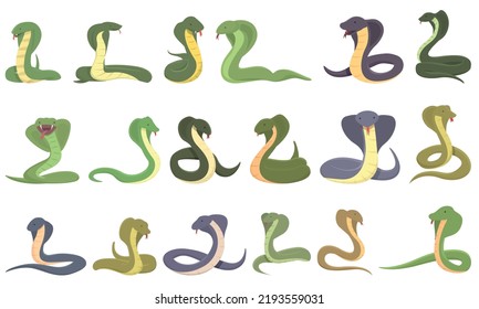 King cobra icons set cartoon vector. Snake animal. Head agression