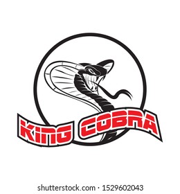 king cobra logo vector image