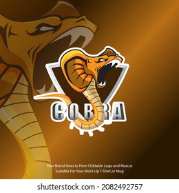 A king cobra ready to attack. With poisonous venom. Cobra snake mascot logo