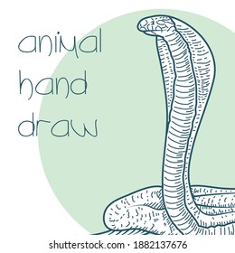 King Cobra realistic character drawn style icon and lettering vector illustration design