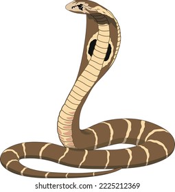 Ilustración del vector serpente del rey Cobra