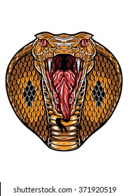 A King Cobra Snake Head With Mouth Open.