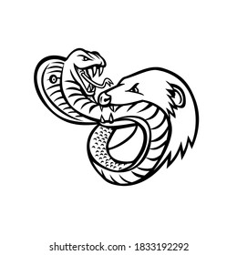 King Cobra Snake and Mongoose Fighting Biting and Attacking Mascot Retro Black and White