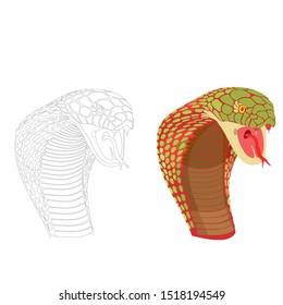 the king cobra snake vector