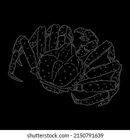 King crab drawing on black background