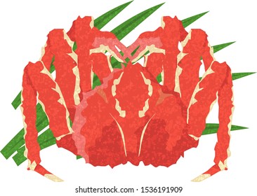 "king crab" illustration drawn in hand drawn style.