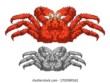  king crab isolated on white background for decoration.