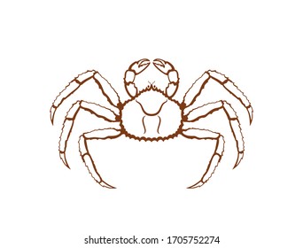 King crab logo. Isolated king crab on white background