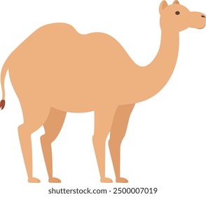 the king of the desert with unmatched endurance. Every curve and detail of the camel depicts the uniqueness and strength of desert life.