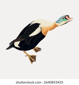 King duck bird sticker, vector element. 