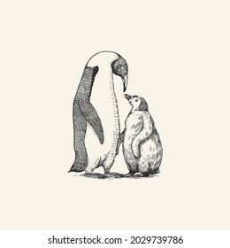 King or Emperor penguin chick. Adult with juveniles. Animal Moms and Babies. Cute small nestling. Vector graphics black and white drawing. Hand drawn sketch. Aquatic flightless bird. 