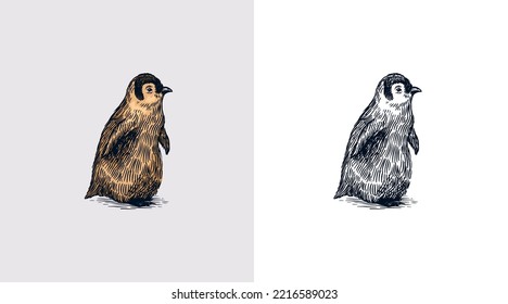 La chica de los pingüinos del rey o del emperador. Pequeño animal lindo. Dibujo vectorial en blanco y negro. Esbozo dibujado a mano. Pájaro acuático sin vuelo. 